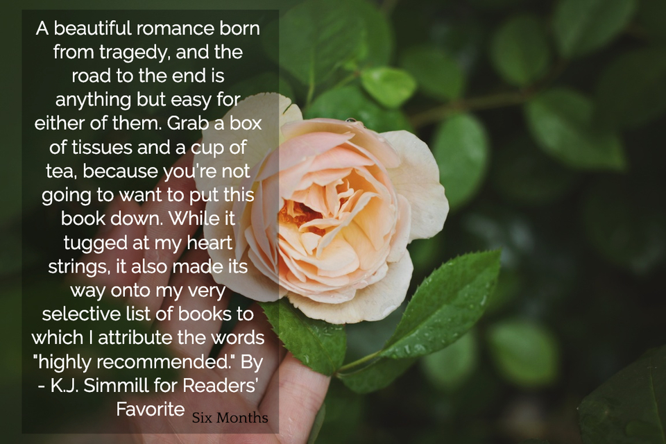 a beautiful romance born from tragedy and the road to the end is anything but easy for...