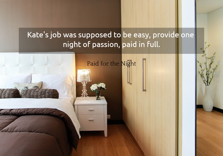 kates job was supposed to be easy provide one night of passion paid in full...