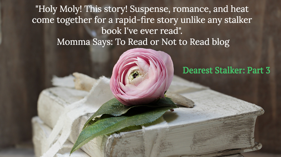 holy moly this story suspense romance and heat come together for a rapid fire story...