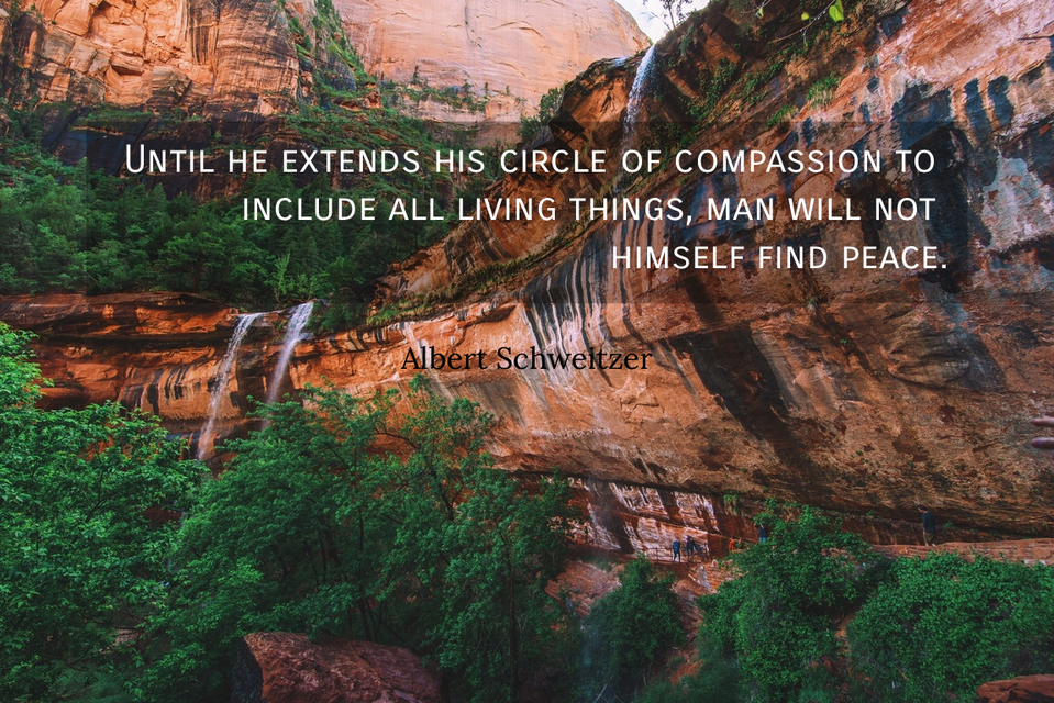 until he extends his circle of compassion to include all living things man will not...