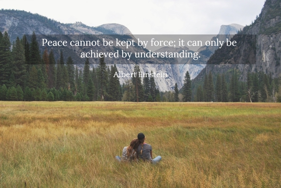 peace cannot be kept by force it can only be achieved by understanding...