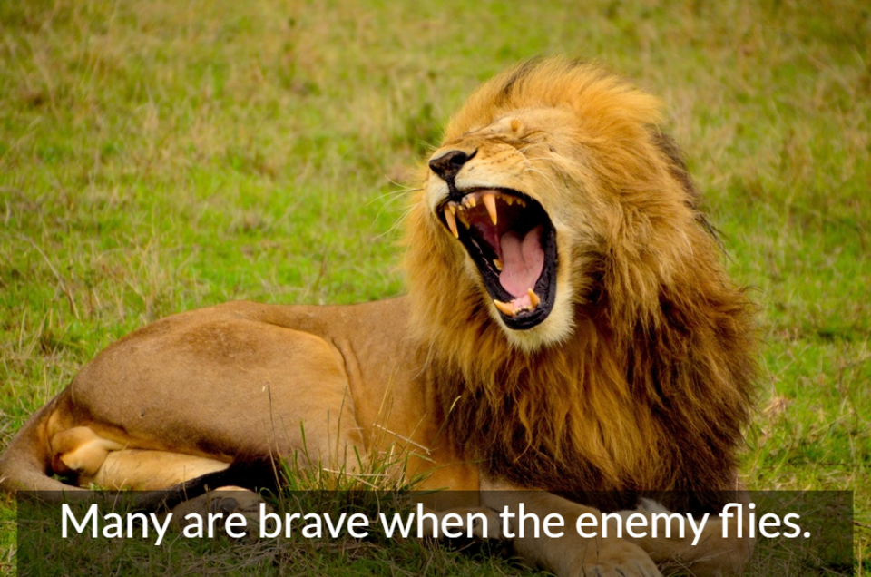many are brave when the enemy flies...