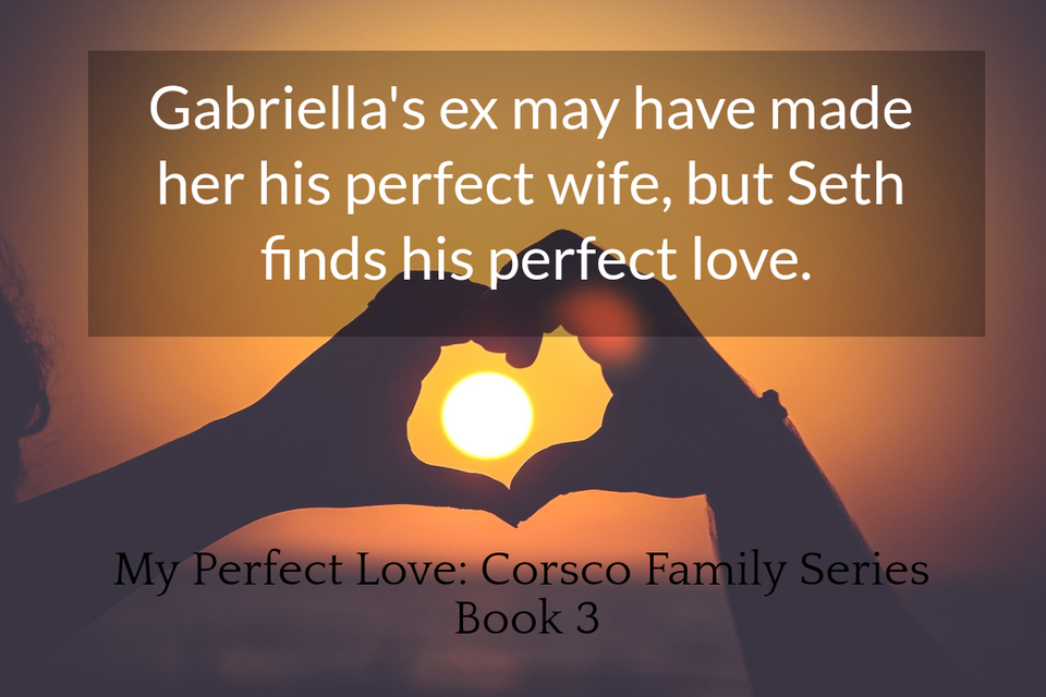 gabriellas ex made her his perfect wife seth finds his perfect love with her...