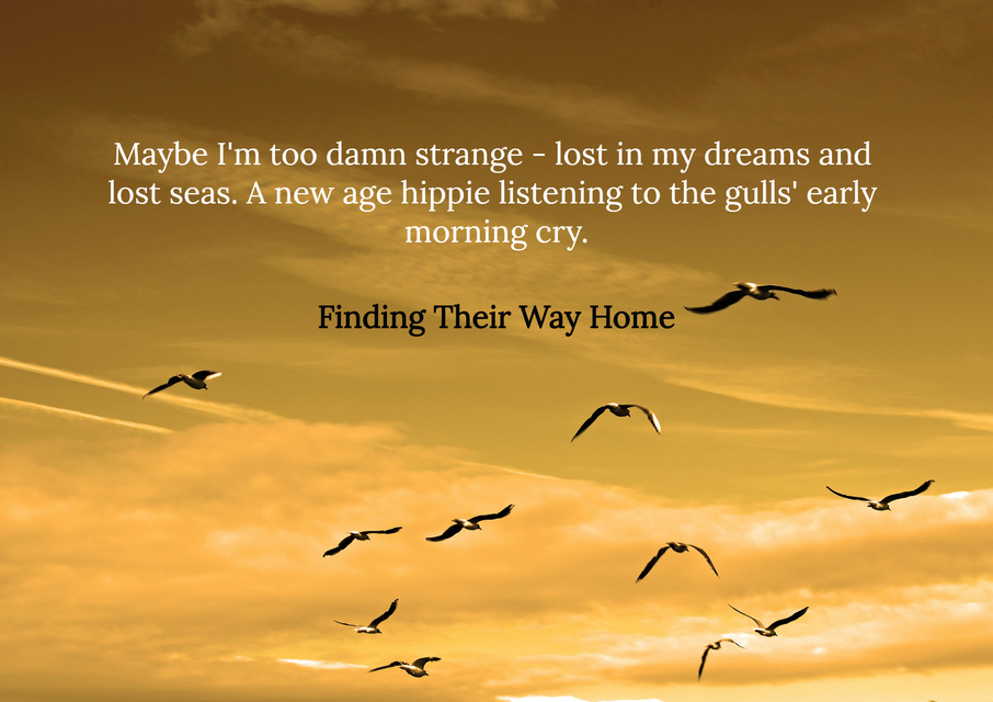 maybe im too damn strange lost in my dreams and lost seas a new age hippie listening...