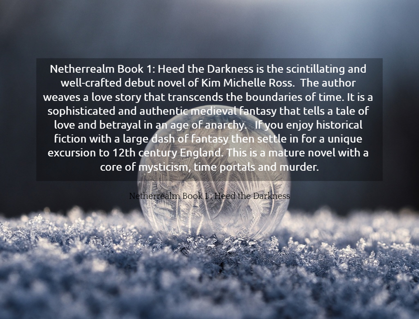netherrealm book 1 heed the darkness is the scintillating and well crafted debut novel...