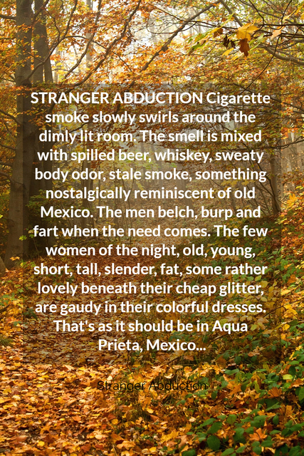 stranger abduction cigarette smoke slowly swirls around the dimly lit room the smell is...