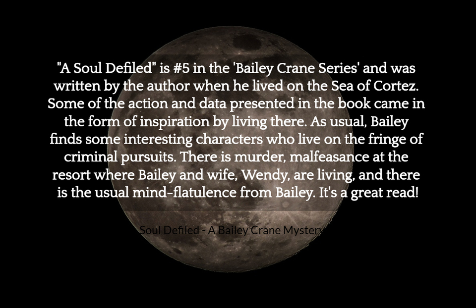 a soul defiled is 5 in the bailey crane series and was written by the author...