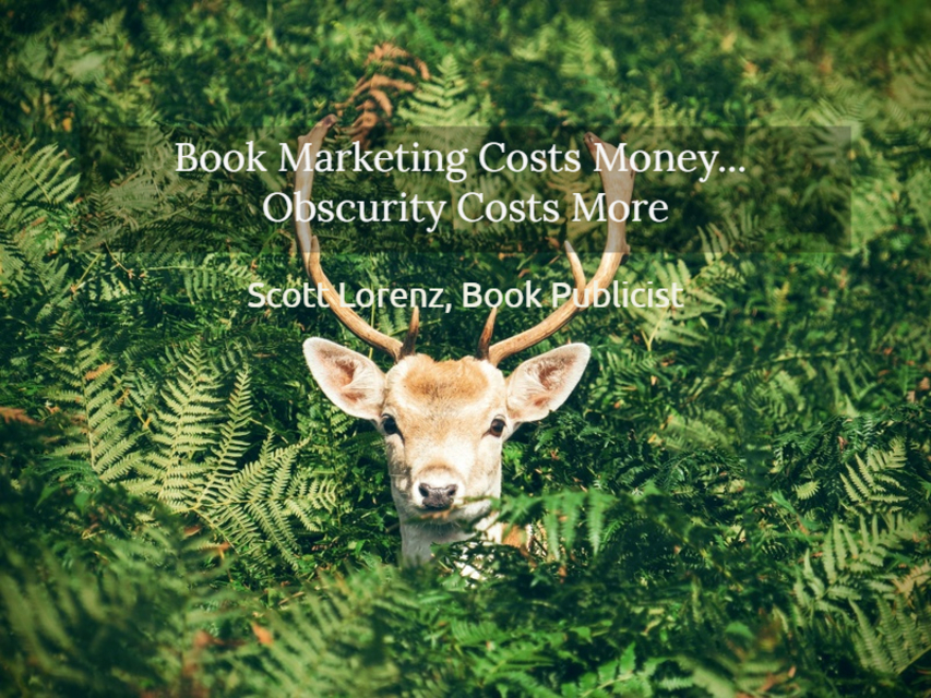 book marketing costs money obscurity costs more...