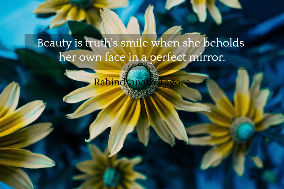 beauty is truths smile when she beholds her own face in a perfect mirror...