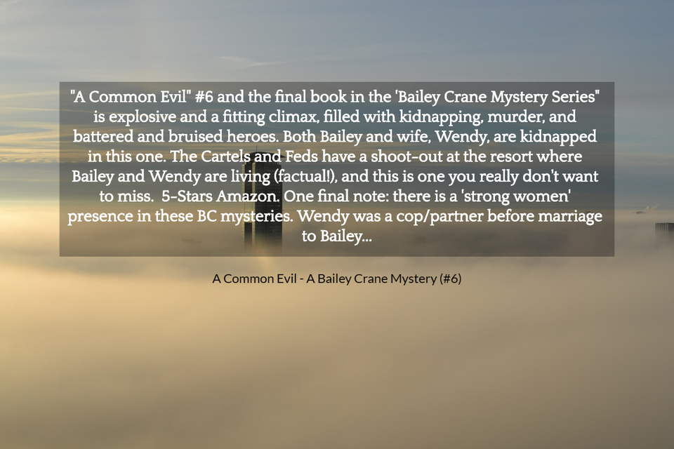 a common evil 6 and the final book in the bailey crane mystery series is...