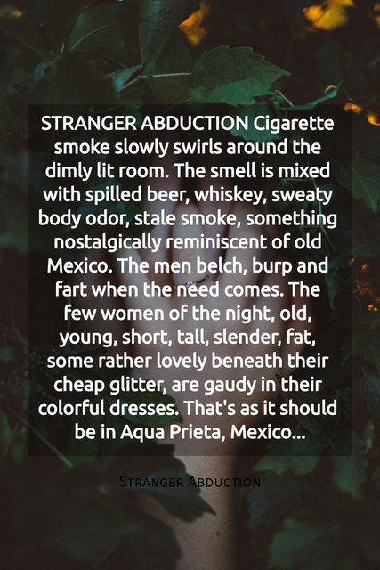 stranger abduction cigarette smoke slowly swirls around the dimly lit room the smell is...