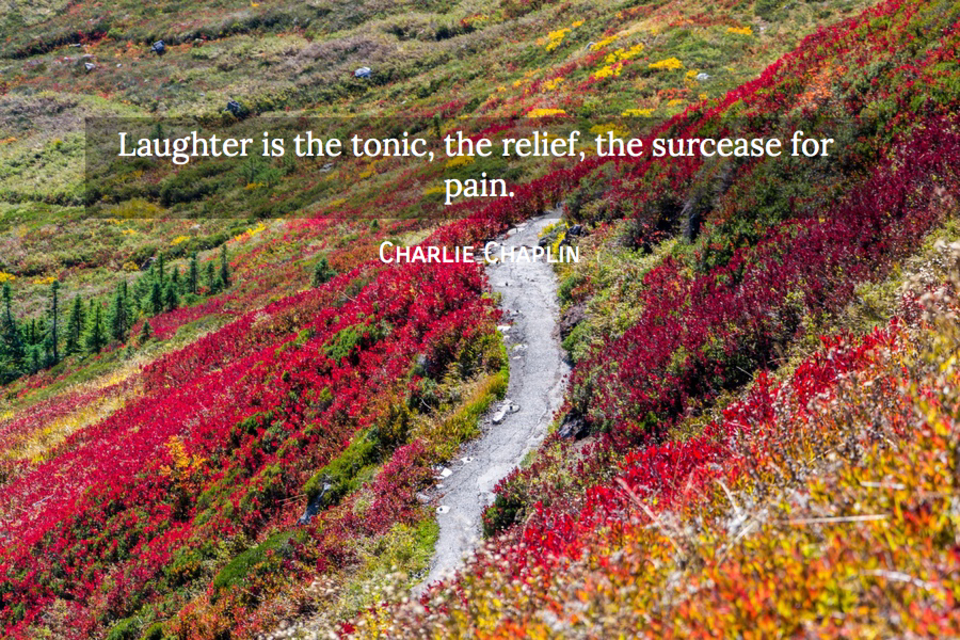 laughter is the tonic the relief the surcease for pain...
