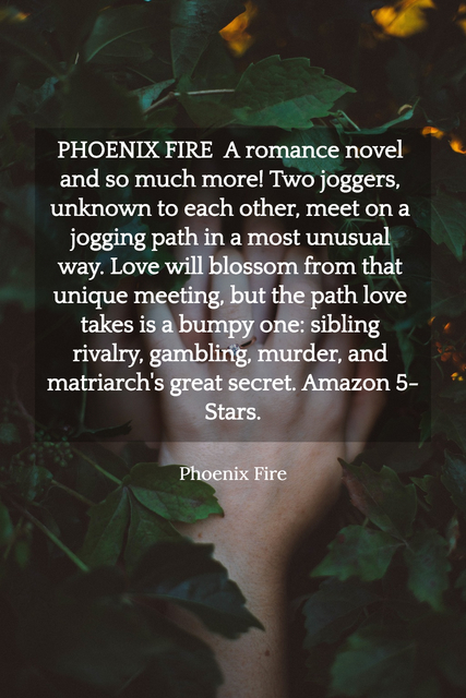phoenix fire a romance novel and so much more two joggers unknown to each other meet...