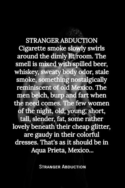 stranger abduction cigarette smoke slowly swirls around the dimly lit room the smell is...