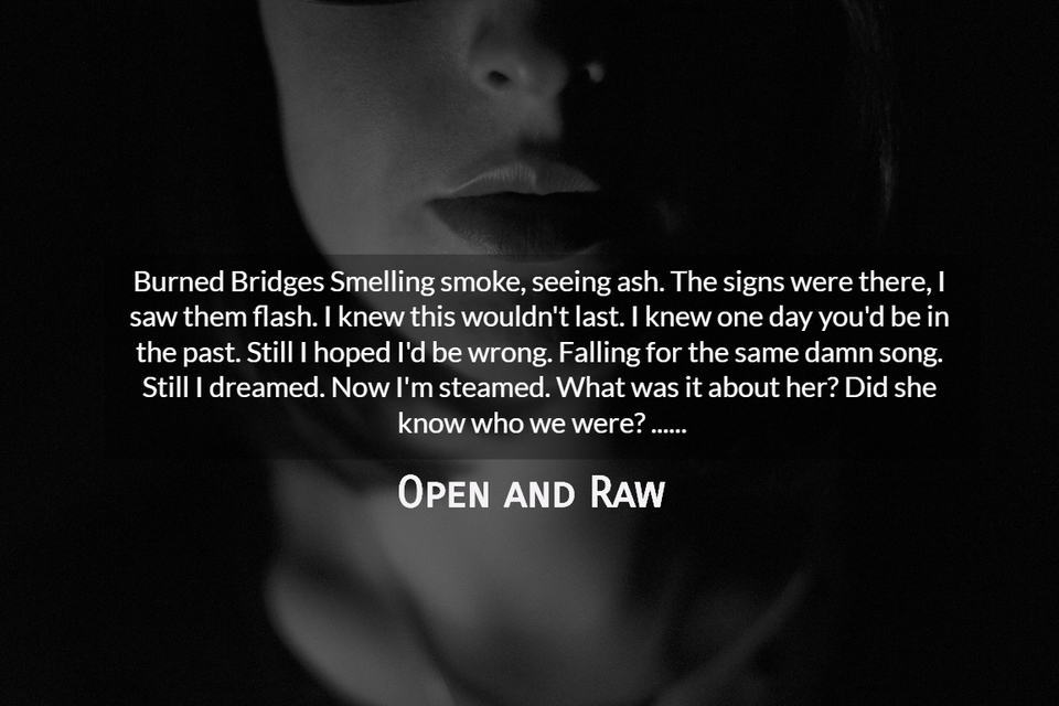 burned bridges smelling smoke seeing ash the signs were there i saw them flash i knew...