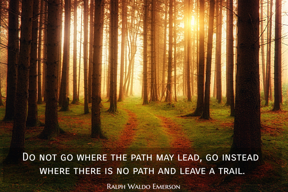 Do not go where the path may lead, go... - Quote