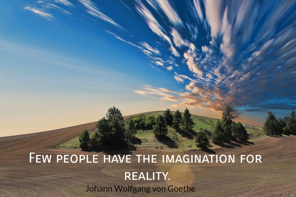 few people have the imagination for reality...