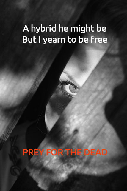 the night brings a different story of the dead in all their glory...