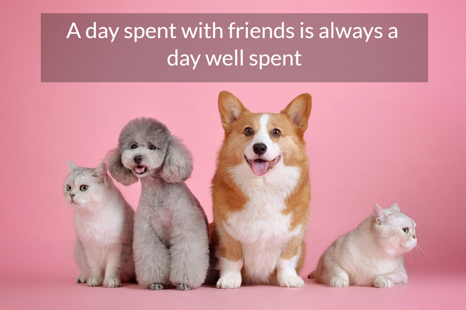 A Day Spent With Friends Is Always A Day Quote