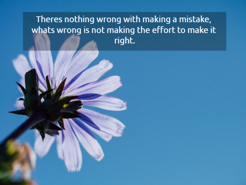 theres nothing wrong with making a mistake whats wrong is not making the effort to make...
