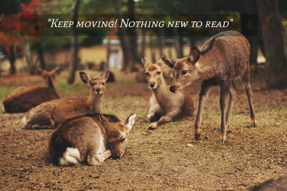 keep moving nothing new to read...