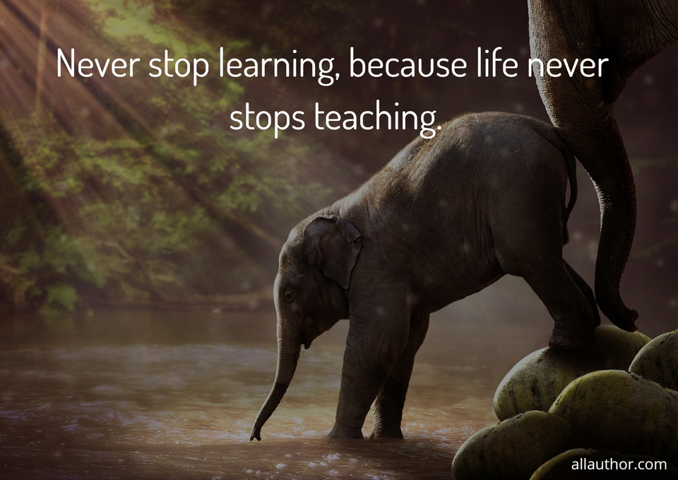 Never stop learning, because life never... Quote