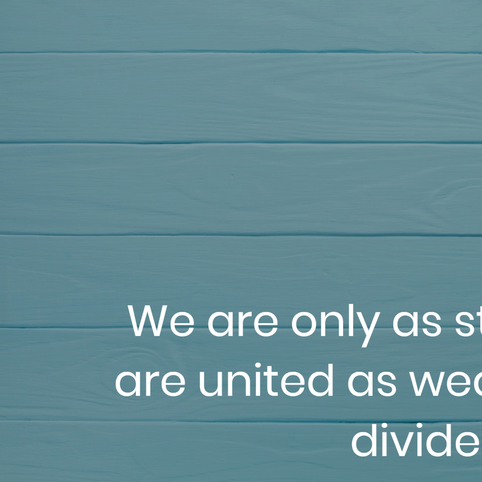 we are only as strong as we are united as weak as we are divided...