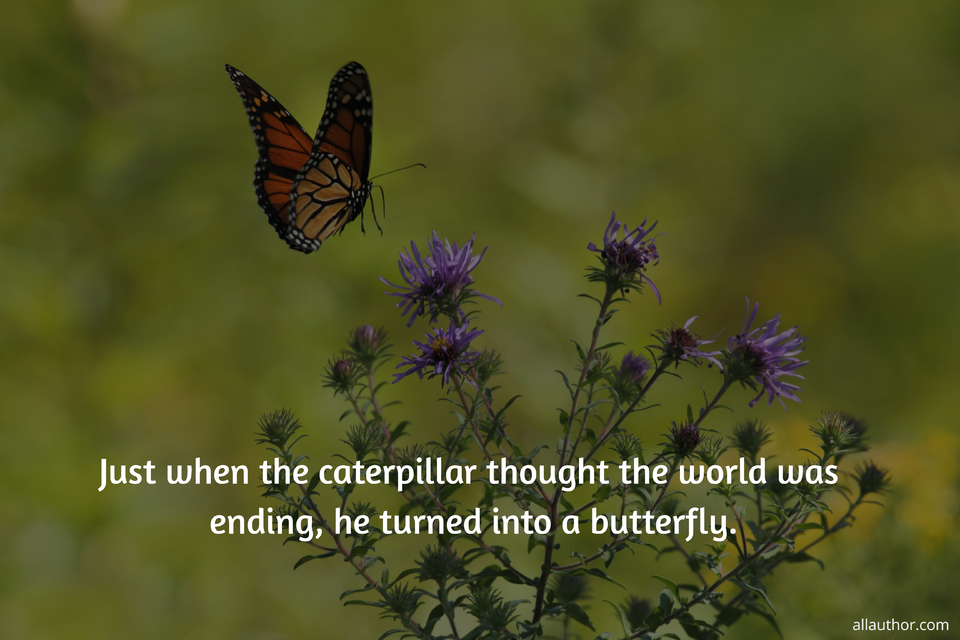 just when the caterpillar thought the world was ending he turned into a butterfly...