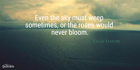 even the sky must weep sometimes or the roses would never bloom...