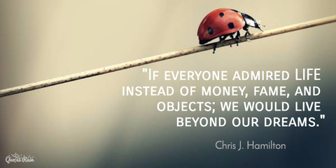 if everyone admired life instead of money fame and objects we would live beyond our...