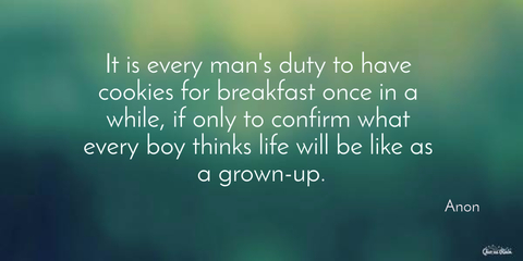 it is every adults duty to have cookies for breakfast once in a while if only to confirm...