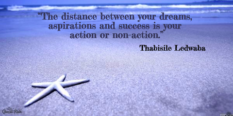 the distance between your dreams aspirations and success is your action or...