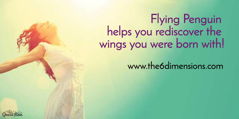 flying penguin helps you rediscover the wings you were born with...