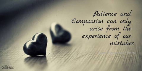 patience and compassion can only arise from the experience of our mistakes...