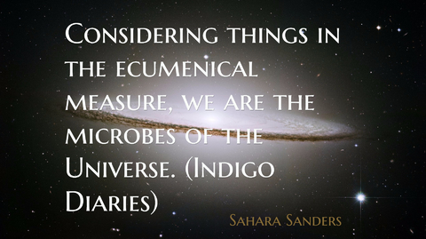 considering things in the ecumenical measure we are the microbes of the universe...