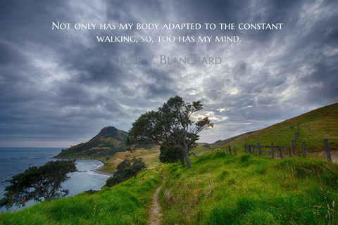 not only has my body adapted to the constant walking so too has my mind...