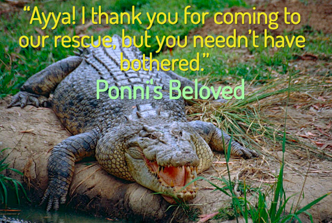 ayya i thank you for coming to our rescue but you neednt have bothered...