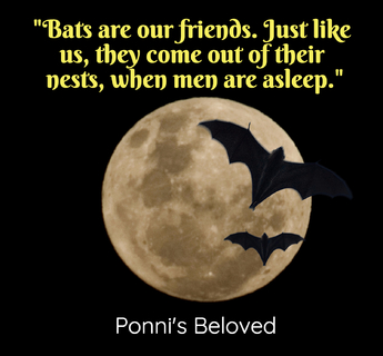 bats are our friends just like us they come out of their nests when men are asleep...