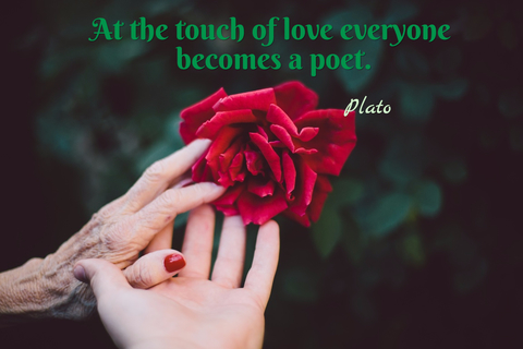at the touch of love everyone becomes a poet...