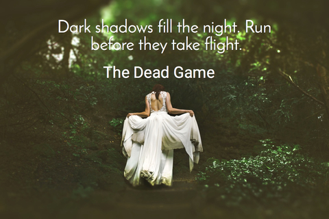dark shadows fill the night run before they take flight...