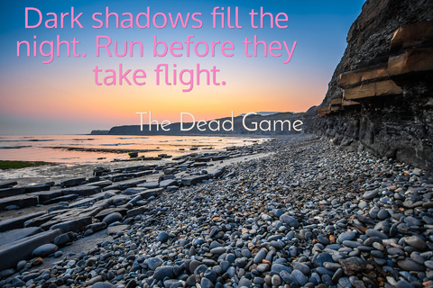 dark shadows fill the night run before they take flight...