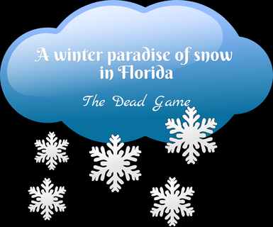 a winter paradise of snow in florida...