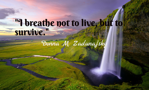 i breathe not to live but to survive...