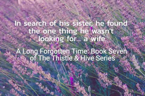 in search of his sister he found the one thing he wasnt looking for a wife...