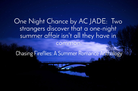 one night chance two strangers discover that a one night summer affair isnt all they...