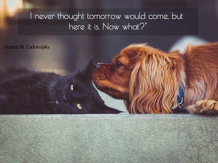 i never thought tomorrow would come but here it is now what...