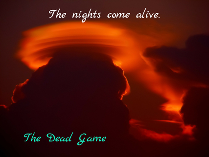 the nights come alive...