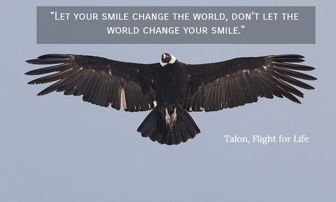 let your smile change the world dont let the world change your smile...