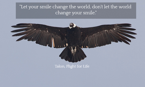 let your smile change the world dont let the world change your smile...