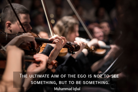 the ultimate aim of the ego is not to see something but to be something...